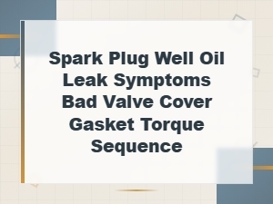 Spark Plug Well Oil Leak Symptoms Bad Valve Cover Gasket Torque Sequence